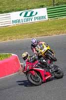 enduro-digital-images;event-digital-images;eventdigitalimages;mallory-park;mallory-park-photographs;mallory-park-trackday;mallory-park-trackday-photographs;no-limits-trackdays;peter-wileman-photography;racing-digital-images;trackday-digital-images;trackday-photos